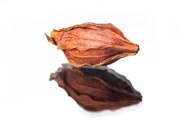 《奇异人生：双重曝光》终极版可获FF7服装包